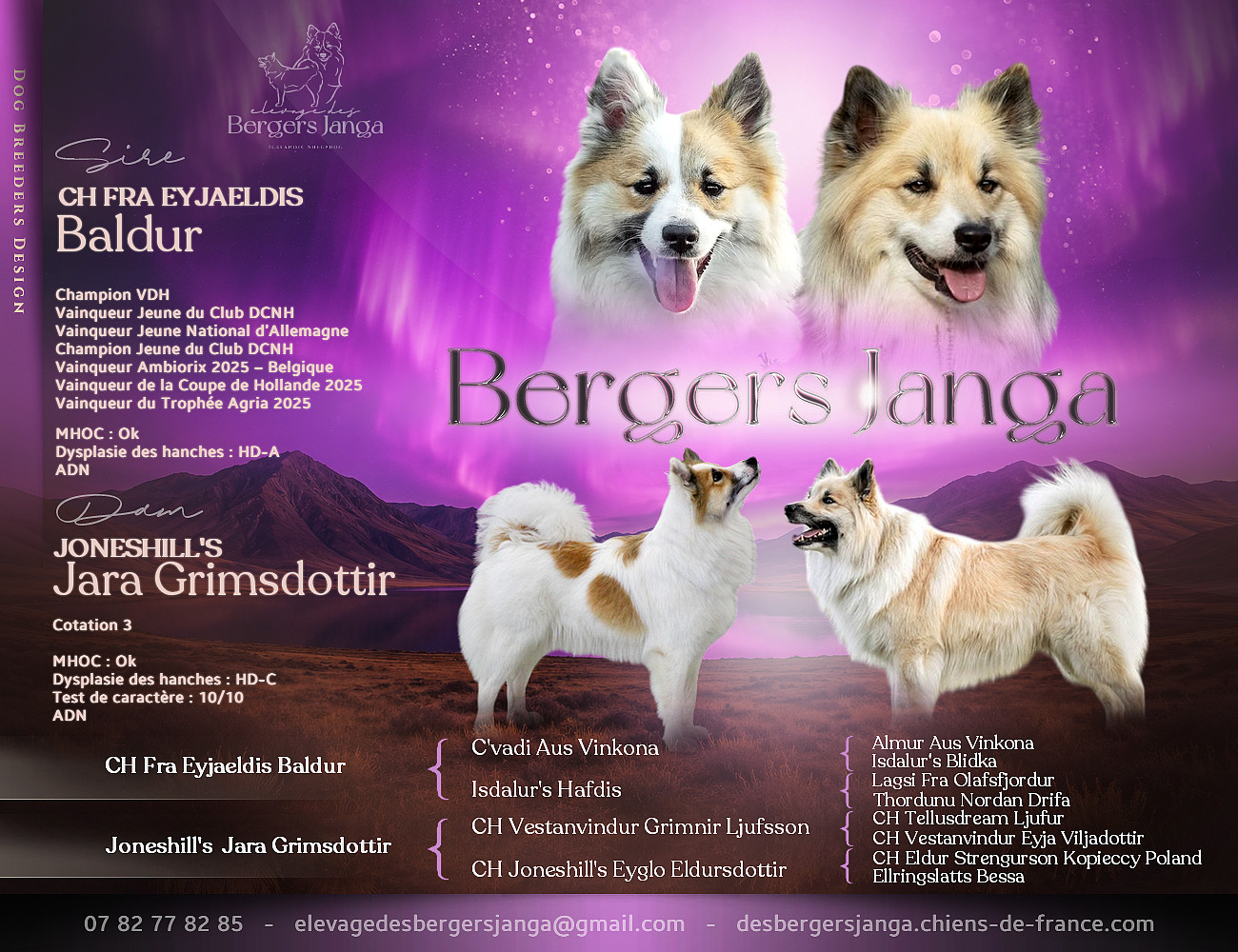 Des Bergers Janga - Portée octobre 2026 !!!!!